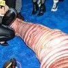 Si Paling Beda! 8 Potret Heidi Klum yang Berubah Jadi Cacing di Pesta Halloween 2022 - Persiapan Butuh Dua Tahun