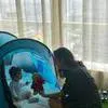 Staycation Ala Nabila Syakieb dan Baby Raqeema, Santai Tapi Seru