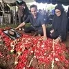 Ussy Sulistiawaty Ziarah ke Makam Ibunya, Bawa Anggrek Ungu