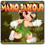 Mario Parkour