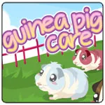 Perawatan babi guinea