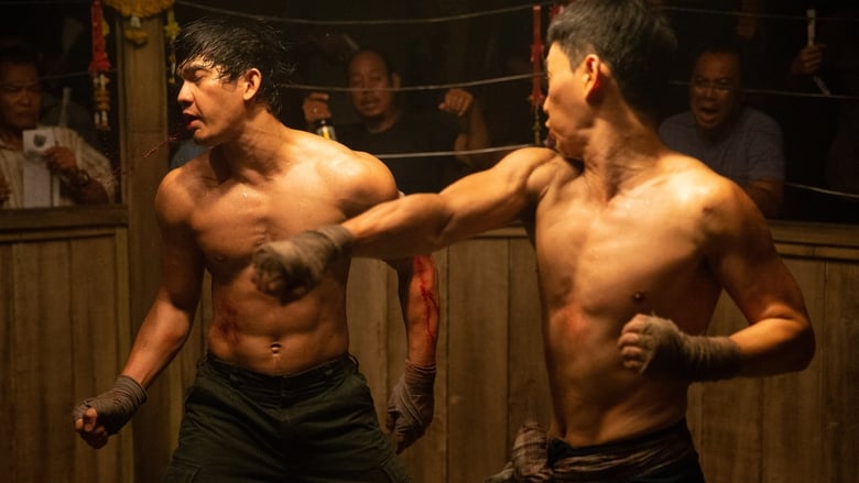 Sinopsis Film Triple Threat 2019 Kisah Aksi Balas Dendam Iko Uwais Yang Bikin Deg Degan 8675