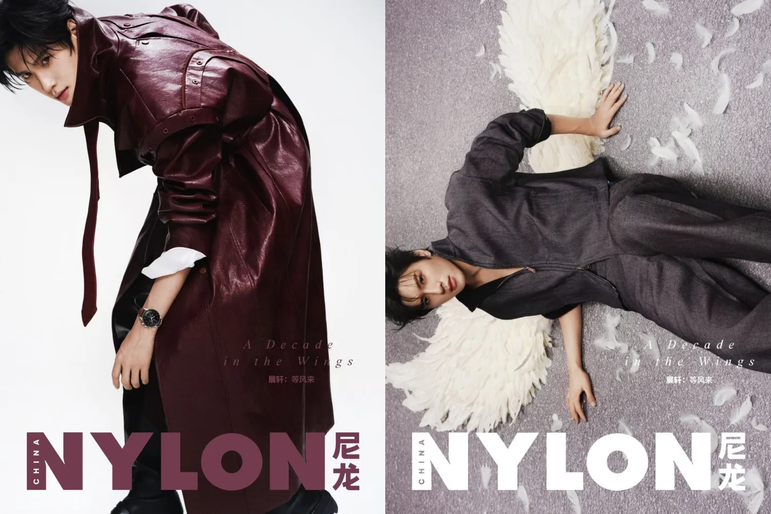 Zhan Xuan - copyright: weibo.com