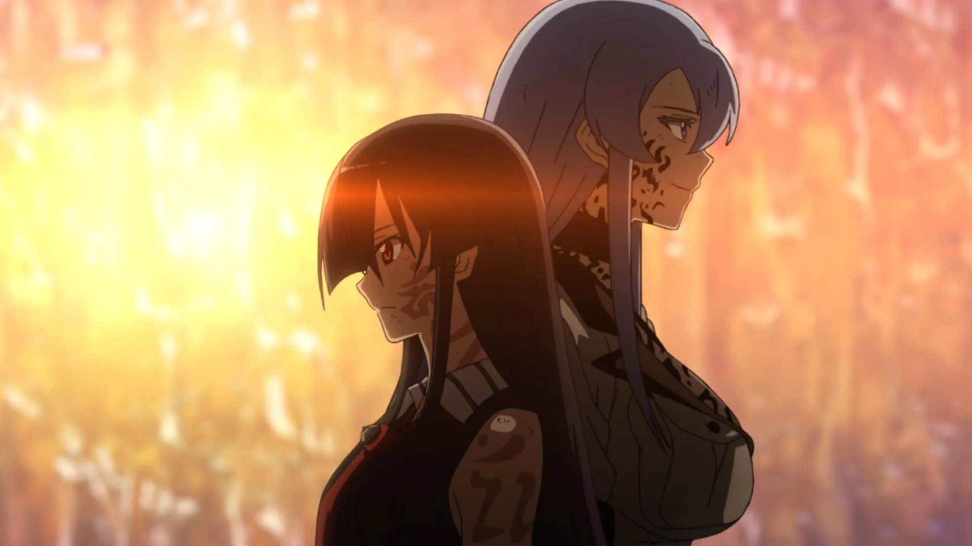 AKAME GA KILL!