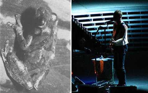 @abcnewsradioonline.com