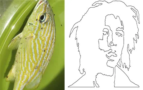 @spraypaintstencils.com