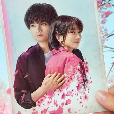 10 Rekomendasi Film Jepang Bertema Sakura dan Perpisahan yang Melankolis