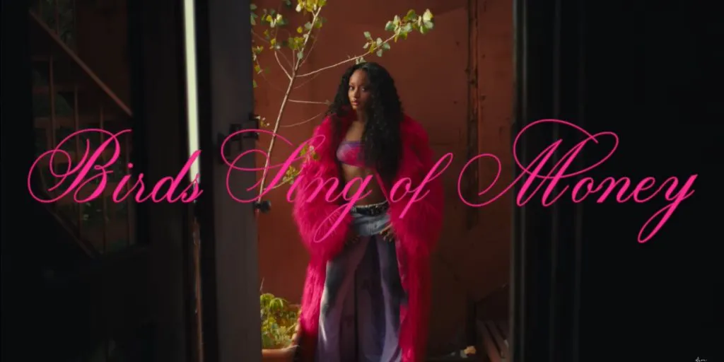 Ayra Starr - Birds Sing of Money