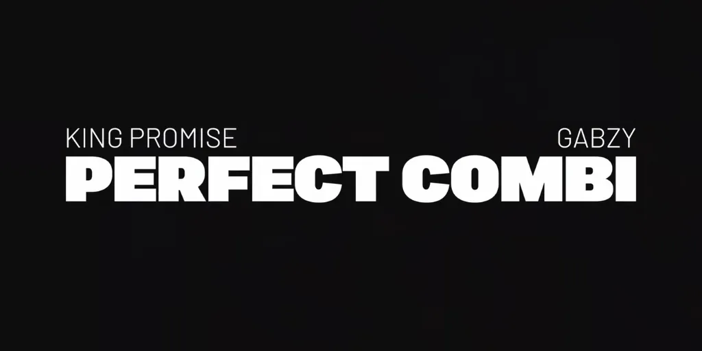 King Promise ft. Gabzy - Perfect Combi