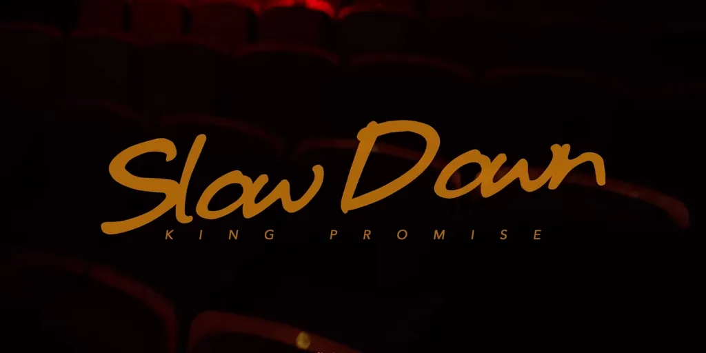 King Promise - Slown Down