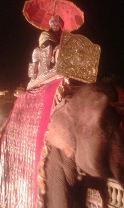 Masuk ke lokasi pernikahan, Rajat Tokas naik gajah. @facebook paridhi sharma