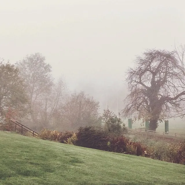 How my day started. #foggyoxford ©instagram.com/maudyayunda