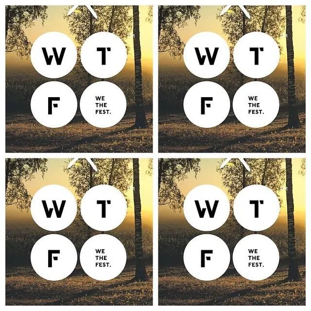 We The Fest 2015 @foto: ©Facebook/wethefest