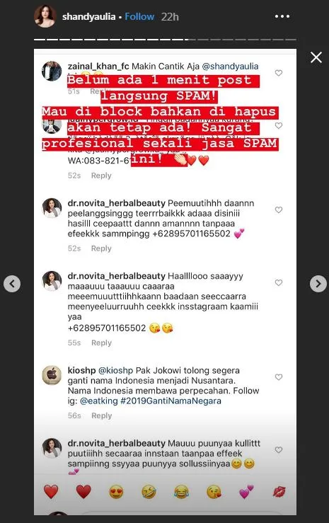 ©instagram.com/shandyaulia