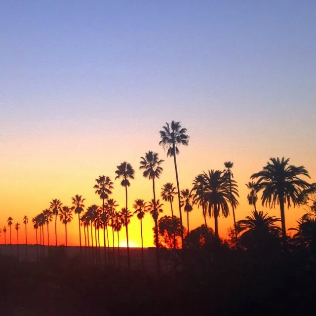 Unggahan sedih Olivia Culpo © Instagram/Olivia Culpo