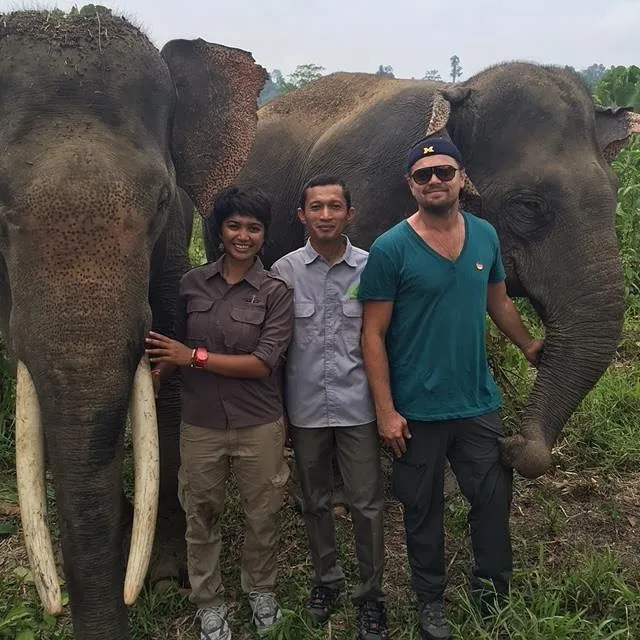 Leonardo DiCaprio, menggelontorkan Rp 43,5 miliar untuk menyelamatkan hutan Indonesia. ©instagram.com/leonardodicaprio