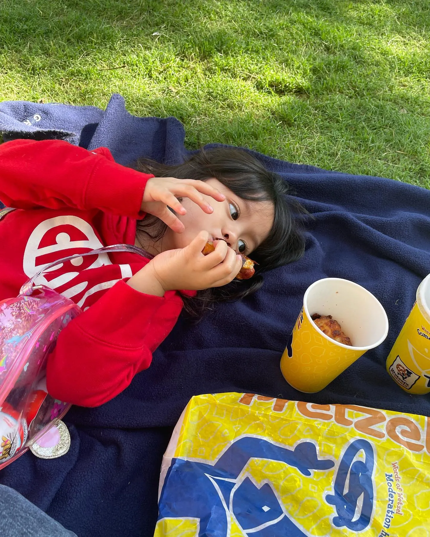 (credit: Instagram.com/wishnutama/)