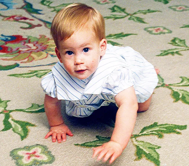 Pangeran Harry