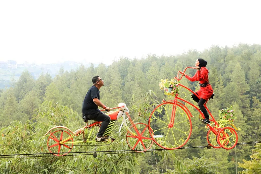 Dago Dream Park / Credit: Instagram © dagodreampark