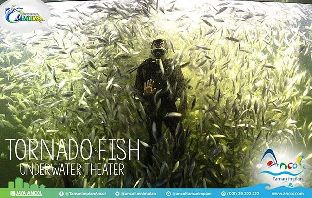 ©instagram/oceandreamsamudra