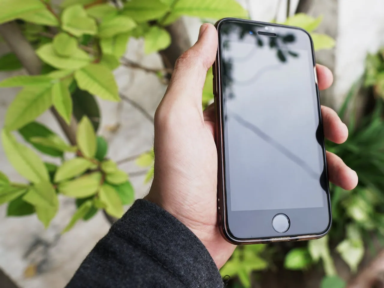 Cara screenshot panjang di iPhone dengan home button (credit: Pexels.com)