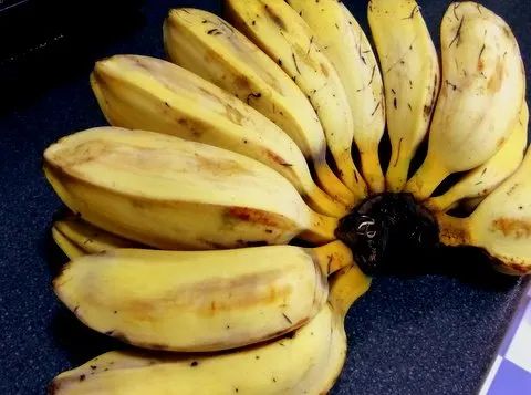 Solusi Cerdas Mengatasi Diare pada Si Kecil: Makanan Sehat yang Harus ...