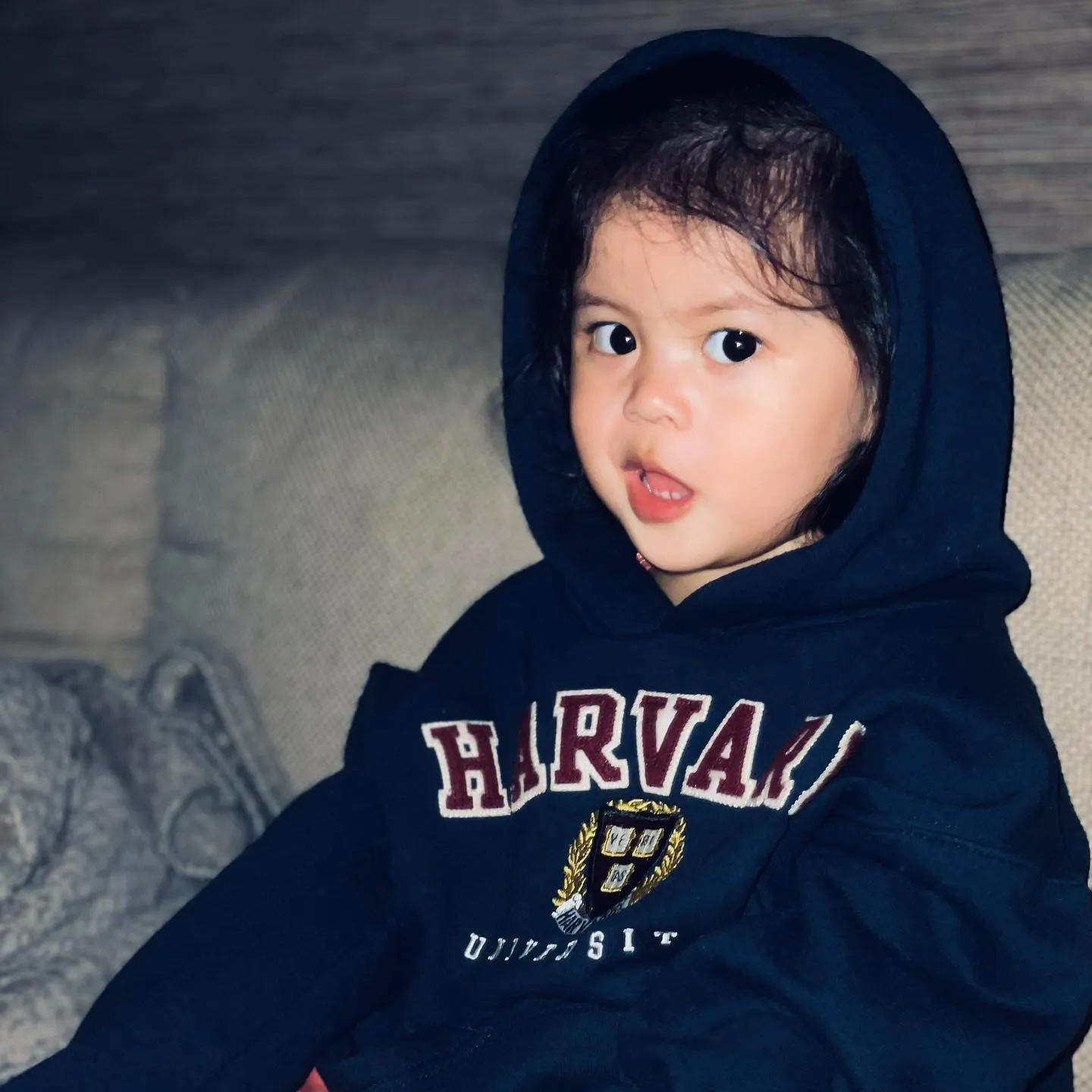 (credit: Instagram.com/wishnutama/)