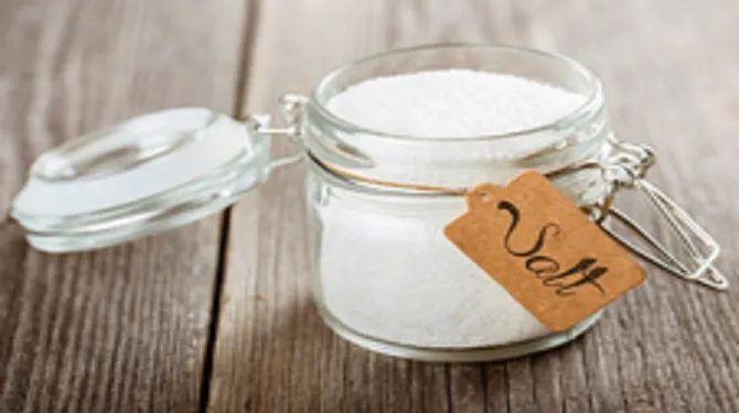 Garam (Cr.KapanLagi.com/Shutterstock)