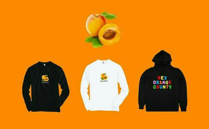 (credit : instagram.com/rexorangecounty)