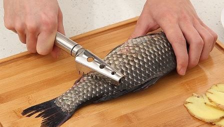 Cleaning Fish Scales (portalmadura.com)