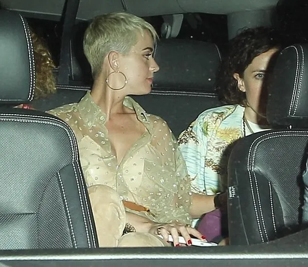 Katy Perry tampil glamor dan cantik © via dialymail.co.uk