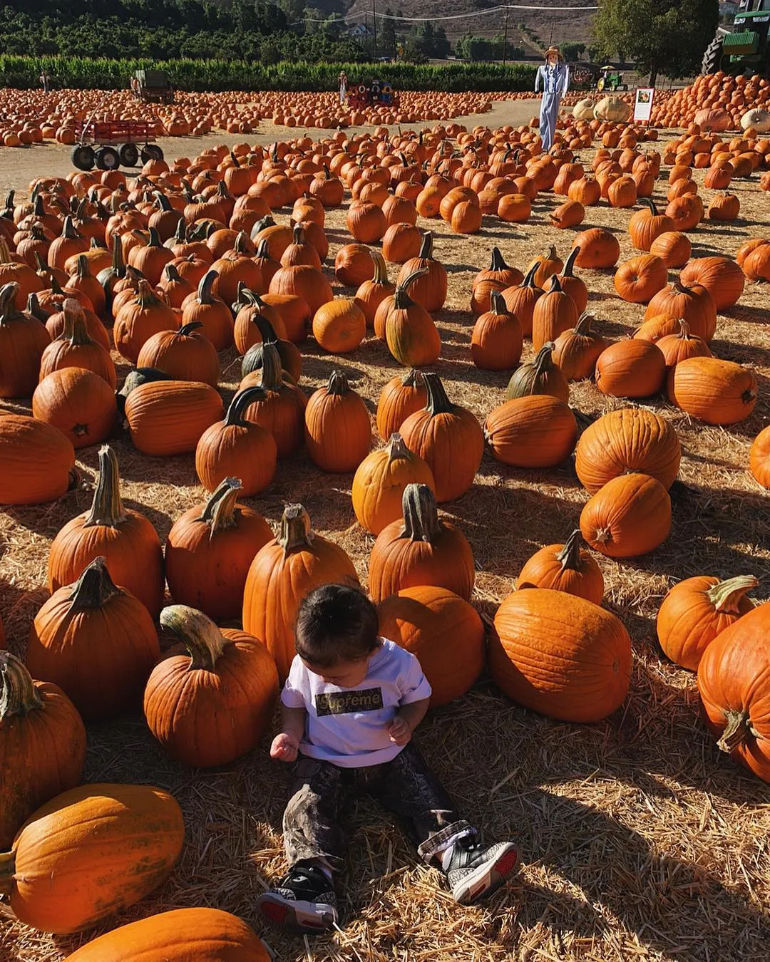 Ini adalah Halloween pertama untuk Stormi © instagram.com/kyliejenner