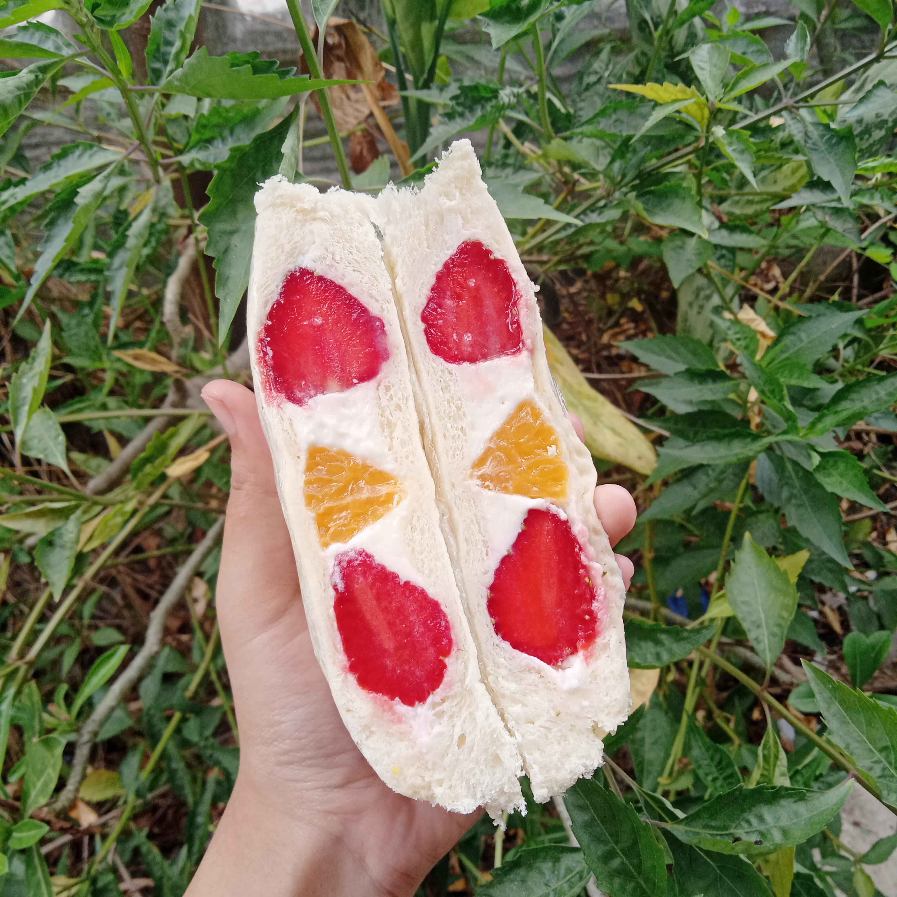 Credit: Manis dan Sedap/Sefruit Sando