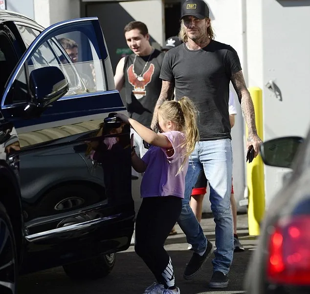 Harper happy bisa kumpul dengan Brooklyn lagi © dailymail.co.uk