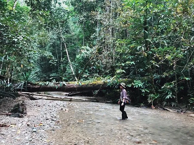 姆nstagram.com/ninda_felina