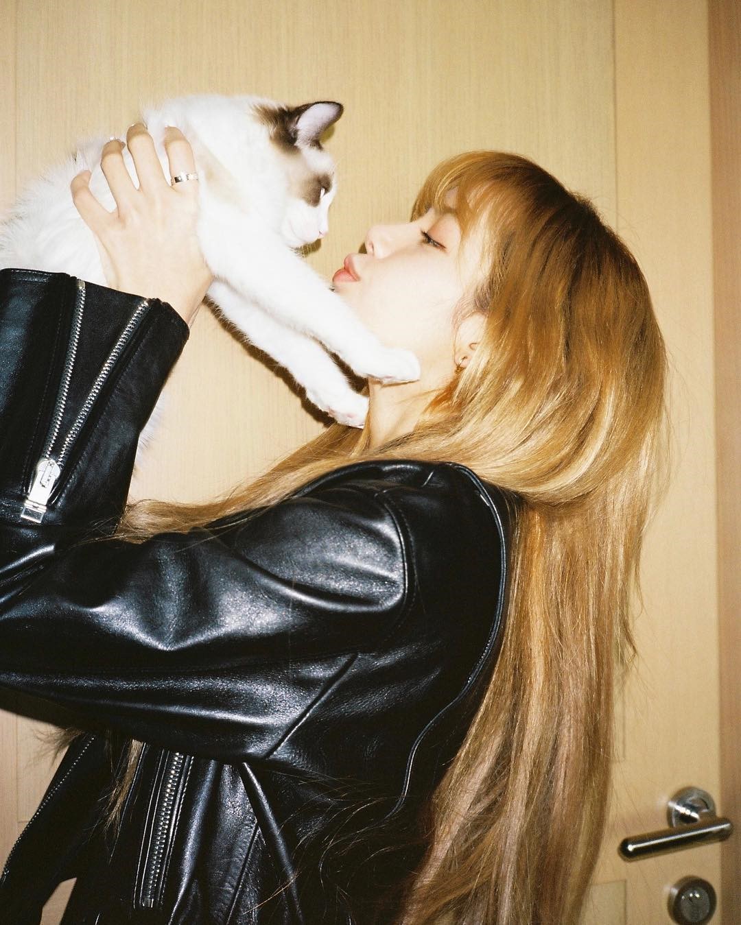 (c) instagram.com/lalalalisa_m