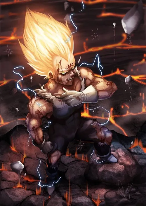 Vegeta © Anime Network