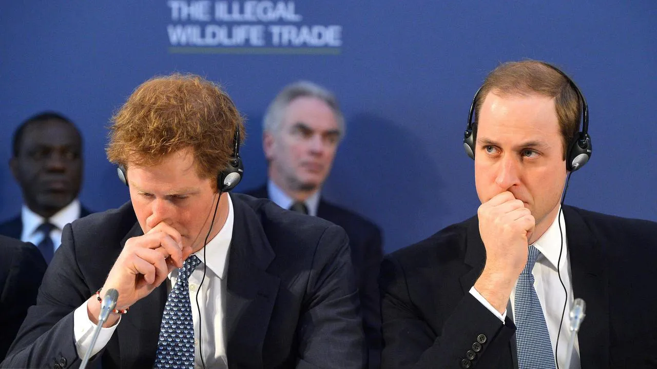 Pangeran William & Pangeran Harry © AFP