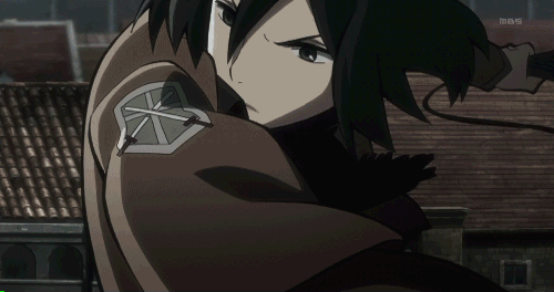 Mikasa [Attack on Titan] © Orzzzz
