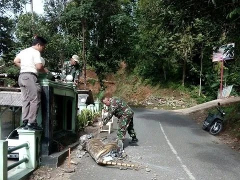 Usai Jadi Viral, Patung Macan Cisewu Malah Dirobohkan Koramil Usai Jadi Viral, Patung Macan Cisewu Malah Dirobohkan Koramil video viral info traveling info teknologi info seks info properti info kuliner info kesehatan foto viral berita ekonomi
