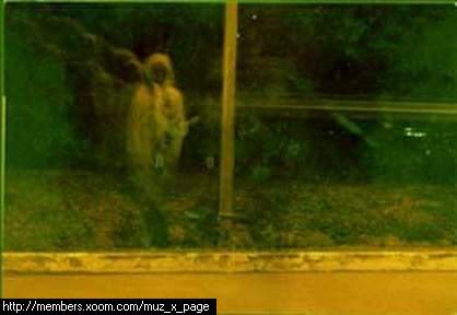 620 Koleksi Gambar Hantu Di Malaysia Terbaru