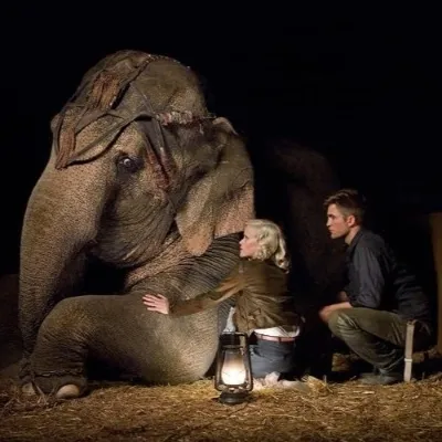 7 Rekomendasi Film Bertema Gajah dan Ikatan dengan Manusia Paling Mengharukan