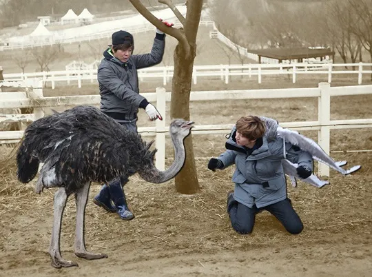 Eunhyuk berlutut untuk mengambil hati Jjosa © MBC
