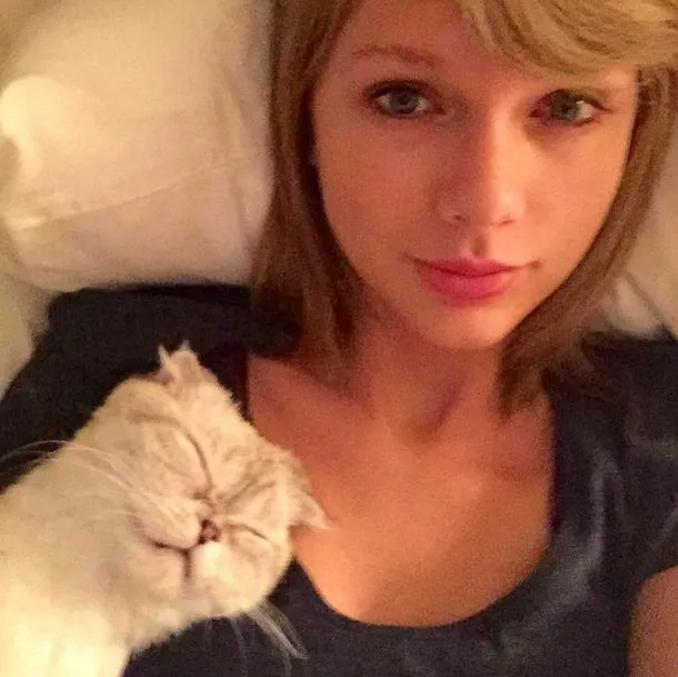 Foto bareng hewan peliharaan ala Taylor Swift © Instagram.com