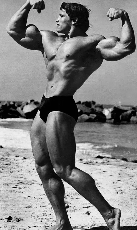 german.fansshare.com