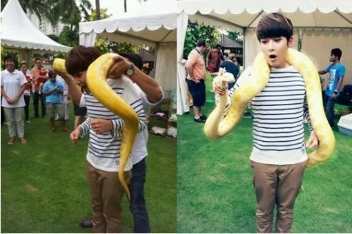 Ryeowook bermain-main dengan ular di hotel yang ia tinggali di Jakarta. ©soompi.com