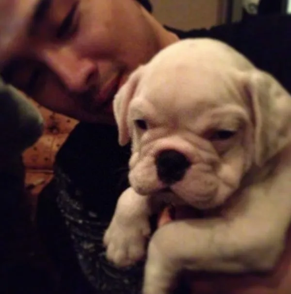 Taeyang Big Bang - Homie