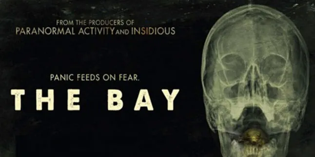 The Bay