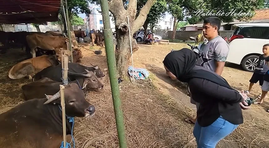 (credit: Youtube NATHALIE HOLSCHER)