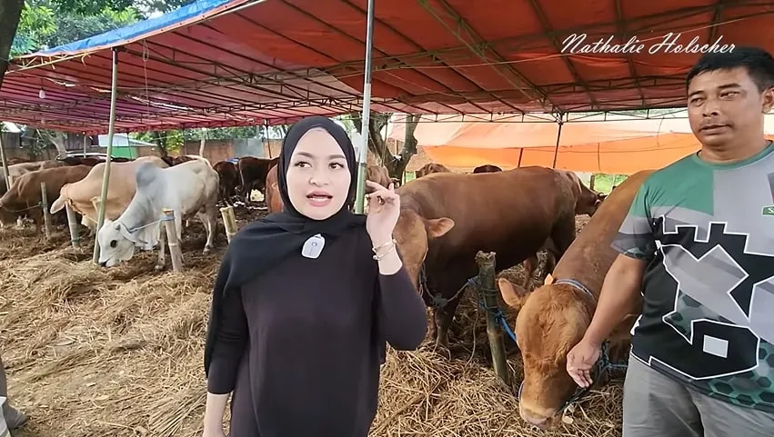 (credit: Youtube NATHALIE HOLSCHER)